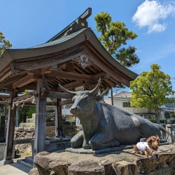 兵主神社