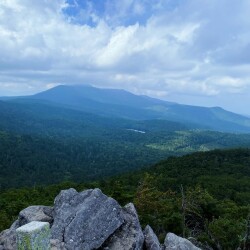 北八ヶ岳