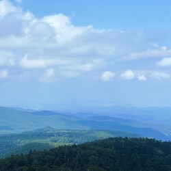 北八ヶ岳